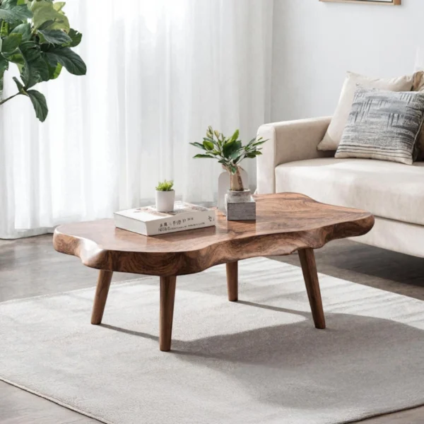 The Mid-Century Organic Coffee Table