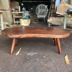 The Mid-Century Organic Coffee Table
