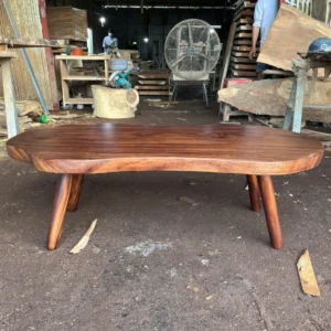The Mid-Century Organic Coffee Table2