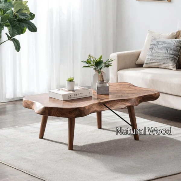 The Mid-Century Organic Coffee Table